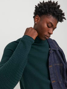 Jack & Jones Ensfarvet Rullekrave -Green Gables - 12249307