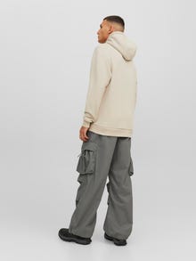 Jack & Jones Vienspalvis Džemperis -Moonbeam - 12249340