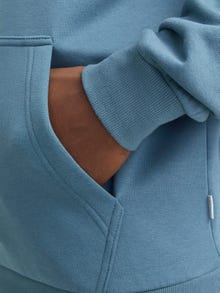 Jack & Jones Yksivärinen Huppari -Oceanview - 12249340