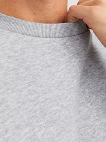 Jack & Jones Vienspalvis Megztiniai -Light Grey Melange - 12249341