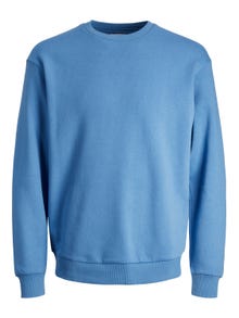 Jack & Jones Ensfarvet Sweatshirt med rund hals -Pacific Coast - 12249341