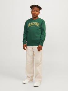 Jack & Jones Gedrukt Sweatshirt met ronde hals Voor jongens -Dark Green - 12249347