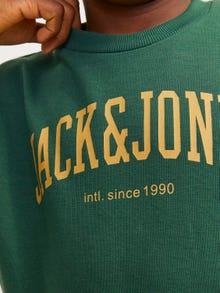 Jack & Jones Nyomott mintás Személyzeti nyakú pulóver Ifjúsági -Dark Green - 12249347