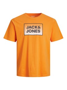 Jack & Jones Spausdintas raštas Marškinėliai For boys -Dark Cheddar - 12249633