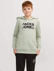 Jack & Jones Bedrukt Hoodie Voor jongens -Desert Sage - 12249676