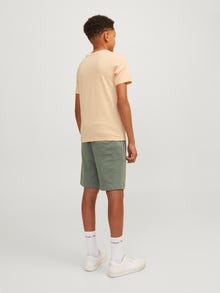 Jack & Jones Poikien Painettu T-paita -Apricot Ice  - 12249732