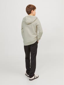 Jack & Jones Sudadera con capucha Estampado Para chicos -Moonbeam - 12249874