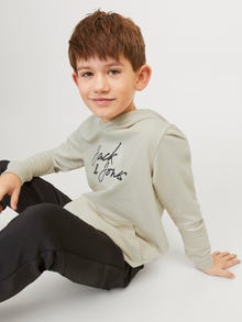 Jack & Jones Potištěný Mikina s kapucí Junior -Moonbeam - 12249874