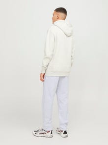 Jack & Jones Regular Fit Spodnie dresowe -White Melange - 12249904