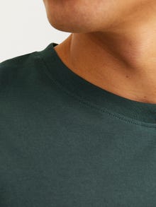 Jack & Jones Printet Crew neck T-shirt -Forest River - 12250421