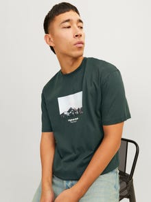 Jack & Jones Nyomott mintás Környak Trikó -Forest River - 12250421