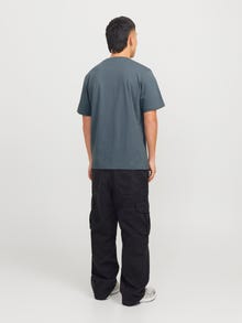Jack & Jones Spausdintas raštas Marškinėliai -Stormy Weather - 12250421