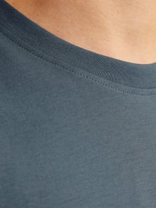 Jack & Jones Spausdintas raštas Marškinėliai -Stormy Weather - 12250421