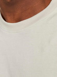 Jack & Jones Spausdintas raštas Apskritas kaklas Berankoviai marškinėliai -Moonbeam - 12250430