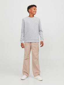 Jack & Jones Sweatshirt Liso Junior -Light Grey Melange - 12250530