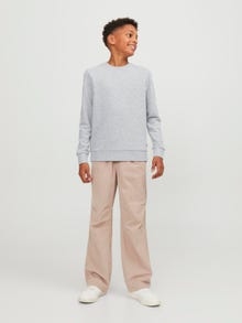 Jack & Jones Plain Crew neck Sweatshirt For boys -Light Grey Melange - 12250530