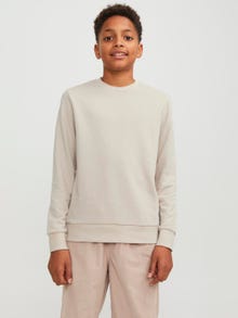 Jack & Jones Bez vzoru Mikina s kulatým výstřihem Junior -Moonbeam - 12250530