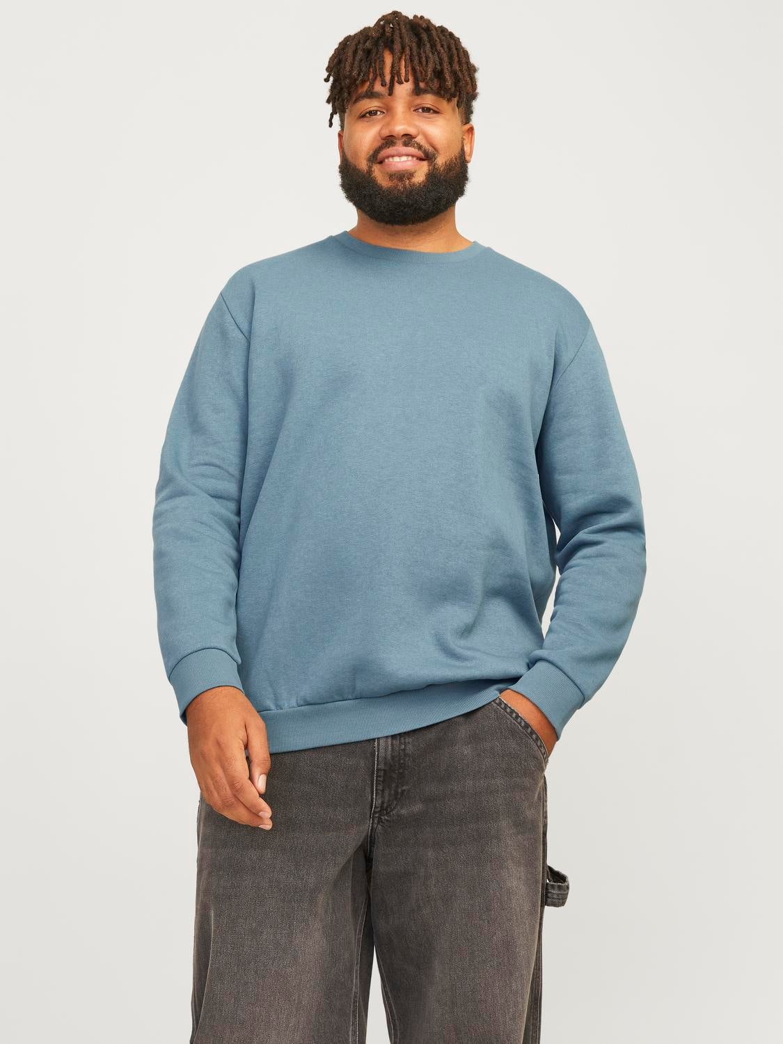 Plus size plain sweatshirts online