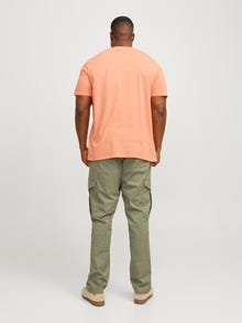 Jack & Jones Plus Size Vanlig T-skjorte -Canyon Sunset - 12250623