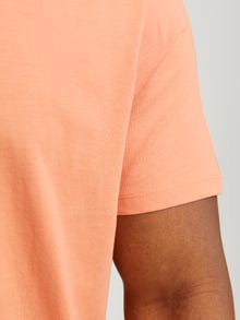 Jack & Jones Plus Size Einfarbig T-shirt -Canyon Sunset - 12250623