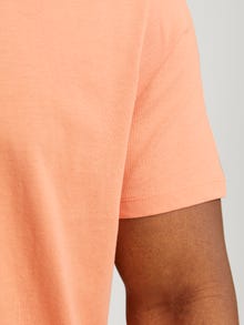 Jack & Jones Plus Size T-shirt Uni -Canyon Sunset - 12250623