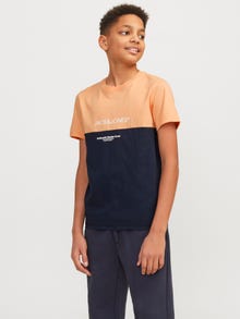 Jack & Jones Colour block T-shirt For boys -Apricot Ice  - 12251083