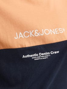 Jack & Jones Camiseta Bloques de color Para chicos -Apricot Ice  - 12251083