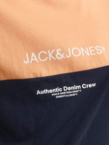 Jack & Jones Poikien Väriblokki T-paita -Apricot Ice  - 12251083