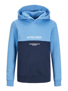 Jack & Jones Colour block Hættetrøje Til drenge -Pacific Coast - 12251086