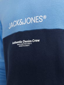 Jack & Jones Värviplokk Kapuutsiga pusa Junior -Pacific Coast - 12251086