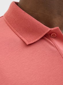 Jack & Jones Vienspalvis Marškininė apykaklė Polo -Faded Rose - 12251180