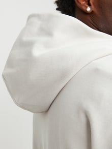 Jack & Jones Hoodie -Moonbeam - 12251328