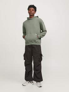 Jack & Jones Vienspalvis Džemperis -Agave Green - 12251328