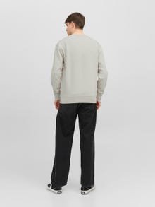 Jack & Jones 2-pack Gedrukt Sweatshirt met ronde hals -Moonbeam - 12251401