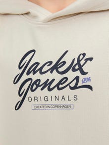 Jack & Jones Logotipas Megztinis su gobtuvu For boys -Moonbeam - 12251448