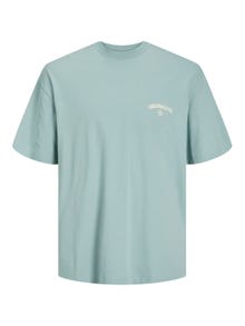 Jack & Jones Bedrukt Ronde hals T-shirt -Gray Mist - 12251776