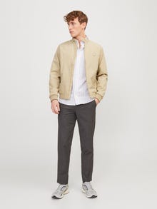Jack & Jones Bomber striukė -Fields Of Rye - 12251906