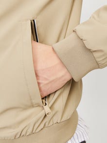 Jack & Jones Bomber striukė -Fields Of Rye - 12251906