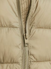 Jack & Jones Stuokliuotas švarkas -Aloe - 12251946