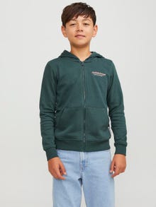 Jack & Jones Printed Zip Hoodie For boys -Magical Forest - 12252118