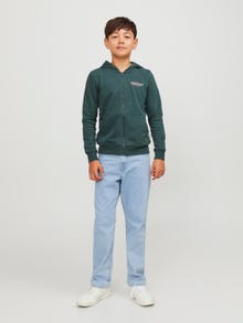 Jack & Jones Printed Zip Hoodie For boys -Magical Forest - 12252118