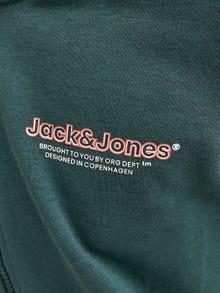 Jack & Jones Bedrukt Hoodie met halve rits Voor jongens -Magical Forest - 12252118