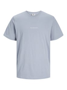 Jack & Jones RDD Tryck Rundringning T-shirt -Tradewinds - 12252153