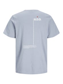Jack & Jones RDD Printed Crew neck T-shirt -Tradewinds - 12252153