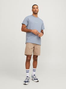 Jack & Jones RDD Painettu Pyöreä pääntie T-paita -Tradewinds - 12252153