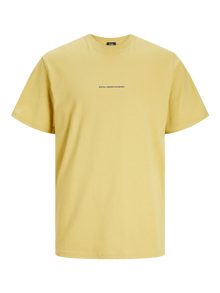 R.D.D. ROYAL DENIM DIVISION T-shirt Estampar Decote em O -Antique Gold - 12252153