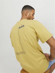 Jack & Jones RDD Painettu Pyöreä pääntie T-paita -Antique Gold - 12252153