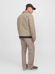 Jack & Jones Bomber striukė -Crockery - 12252203