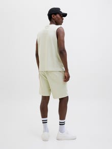 Jack & Jones Laisvas kirpimas Sportiniai šortai -Celadon Tint - 12252251