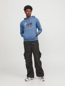 Jack & Jones Logo Hettegenser -Pacific Coast - 12252310